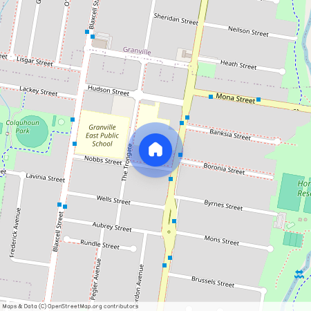 3A Nobbs Street, NSW 2142, Granville