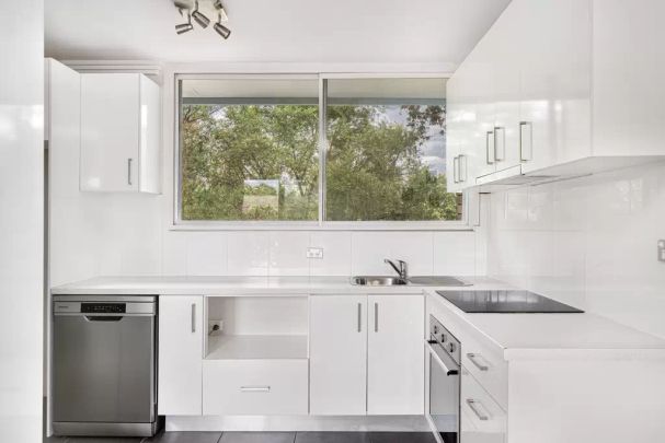 One-bedroom apartment in the heart of Marrickville - Photo 1