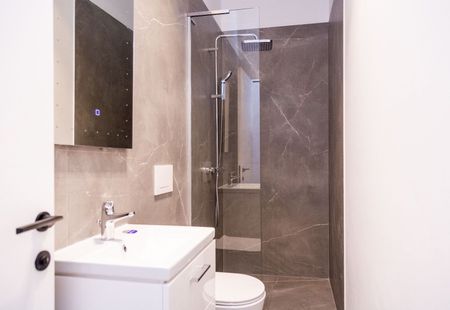 Apartament 3 camere de inchiriat zona Herastrau - Photo 4