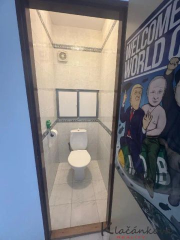 Pronájem bytu 2+1 /OV/, 57 m - Fotografie 4