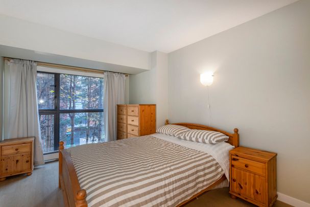 238 ALVIN NAROD MEWS, VANCOUVER, BC V6B 5Z3 - Photo 1