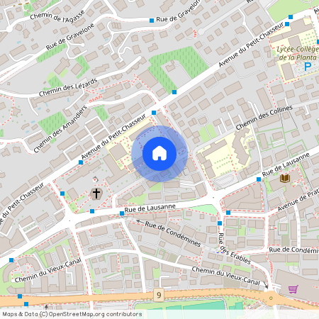 Chemin des Collines 46, 1950, Sion