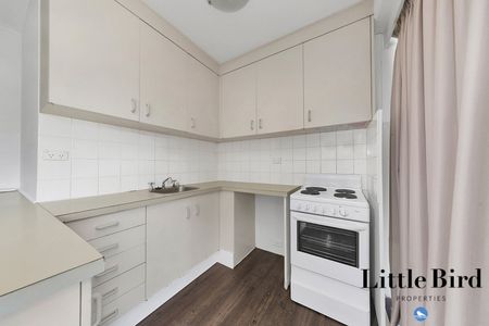 22/6 Wilkins Street, Mawson ACT 2607 - Apartment For Rent | Domain - Photo 4