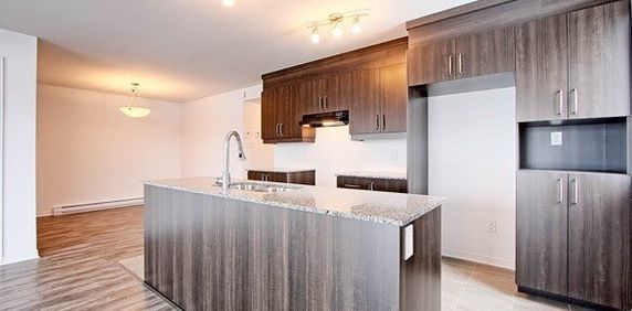 190 Rue Henri-Matisse (Aylmer) Magnifique Appartement De Deux Chambres - Photo 2