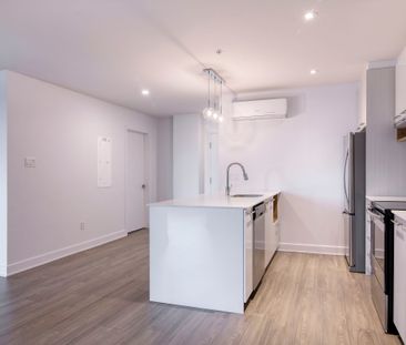 9675 Av. Papineau - Photo 2