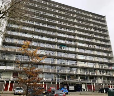 Appartement Anjenplein 84, Leeuwarden - À Louer - Photo 2