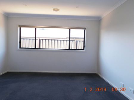 20 Strickland Street - Photo 2