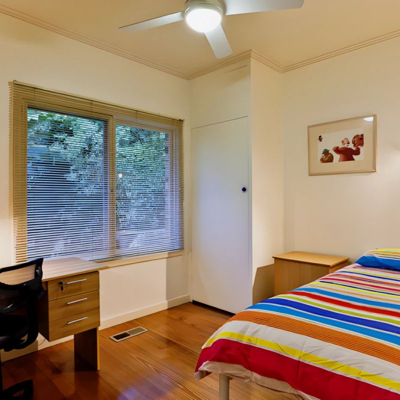 PLH6 Medium - Photo 1