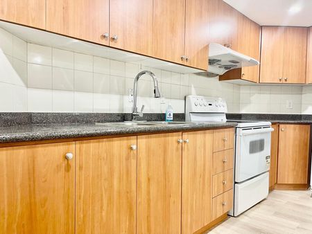 For Lease - 19 Devonshire Avenue Unit# Lower, Markham, Ontario - Photo 5