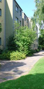 Neues Wohngefühl in der Teichbreite – stilvoll und frisch modernisiert - Photo 3