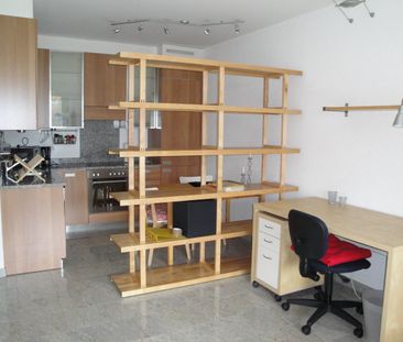 Via Rodari 1, 6500, Bellinzona - Photo 2