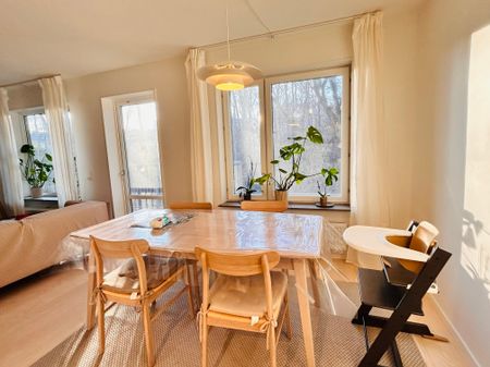 Ebbe Lieberathsgatan, Göteborg - Foto 3