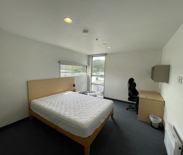 7 Bedrooms in Mt Cook! - Photo 3