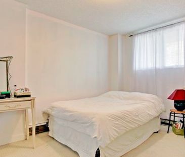 1 Bedroom Condo For Rent In Mission: Pet Friendly. - Photo 6