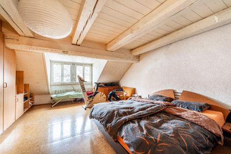 Grosszügige 6-Zimmerwohnung in der Altstadt Schaffhausen, 217m2 - Foto 3