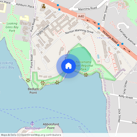 3 Campbell Drive, NSW 2111, Gladesville