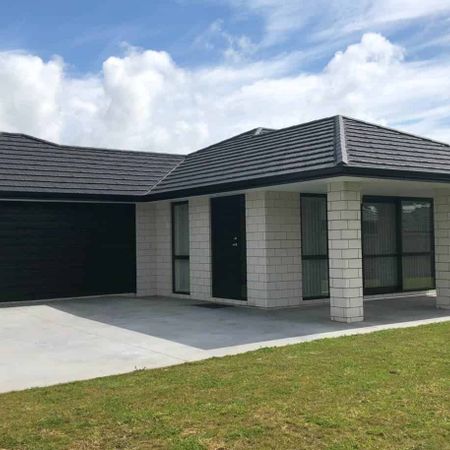 Stunning Build in Te Kauwhata - Photo 3