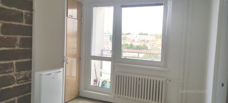 Pronájem bytu 1+1 47 m² - Fotografie 2