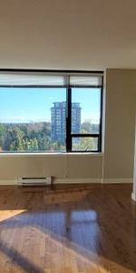 2 Bed 2 Bath with AMAZING UNOBSTRUCTED VIEWS! - Photo 3