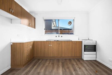 SPACIOUS | FRESHLY PAINTED | GREAT LOCATION - Photo 4
