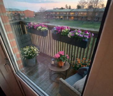 Pantzargatan 21 P - Foto 4