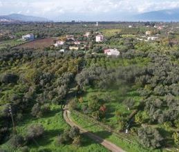 Μεζονέτα για ενοικίαση - Αίγιο, - Photo 5