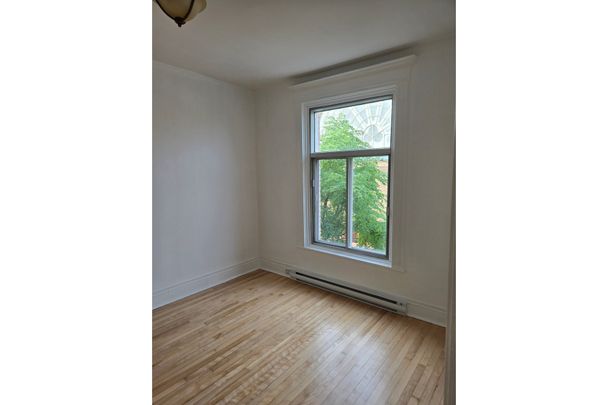 Appartement - 5577 Rue St-Urbain - Photo 1