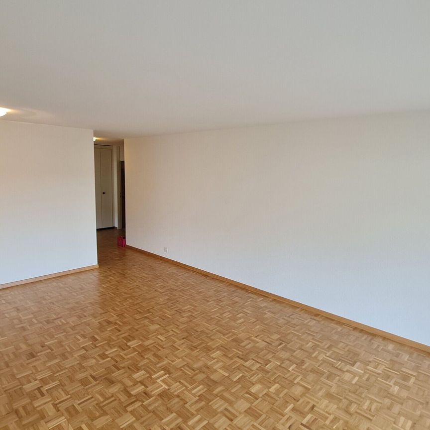 Beautiful 3.5 pces 80 m2 with large balcony - Photo 1