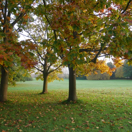 Elevenborgsvägen, Alnarp - Foto 4