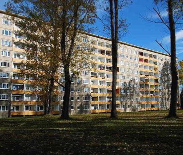 3-Raum-Wohnung und den Spielplatz im Wohnumfeld - Foto 4