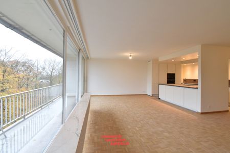 Ruim en volledig gerenoveerd appartement met 3 slaapkamers - Photo 3