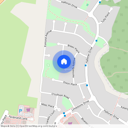 9 Tennant Place, Jerrabomberra NSW 2619