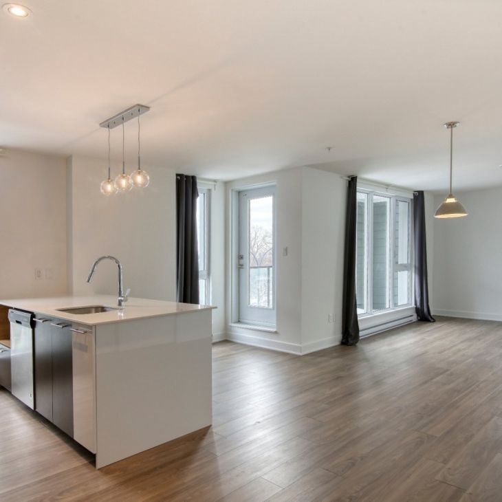 9675 Av. Papineau, app.402, H2B 3C8, H2B 3C8, Montréal - Photo 1