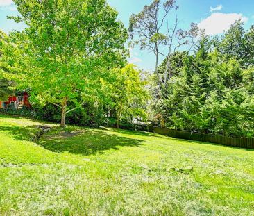 Tranquil Hills Living Surrounded by Nature - Photo 3