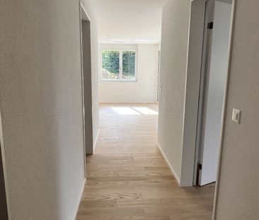 «Baumpark» Wohnen in parkartiger Landschaft in Pfäffikon ZH - Foto 5