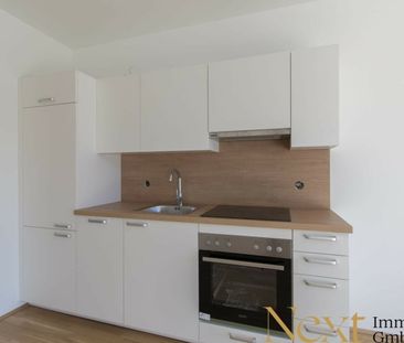 Moderne 1-Zimmer-Wohnung mit Balkon nähe Hummelhofwald in Linz zu v... - Foto 1
