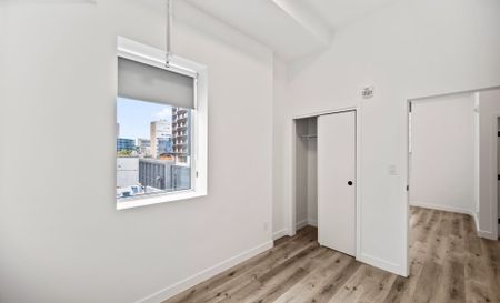 171 Donald – The Hellebuyck, Winnipeg, MB - Photo 4