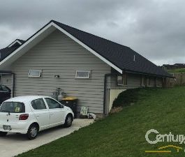 Flat Bush - Photo 3