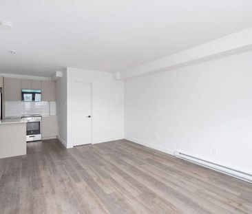 1 CH - 1 SDB - Montréal - $1,245 /mo - Photo 3