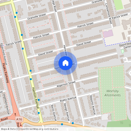 Torrington Street, DN32, Grimsby