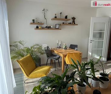 Krásný nový byt 1+kk v přízemí novostavby se zahrádkou a terasou - Fotografie 2