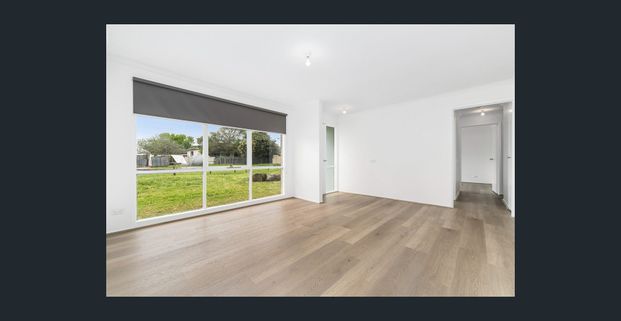 * Renovated 2 bedroom Unit - Great location in Seaford - Photo 1