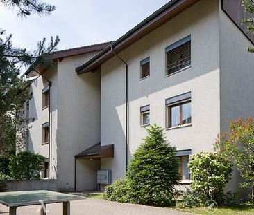 2.5 Zimmer, 81 m², 1. Stock - Photo 2