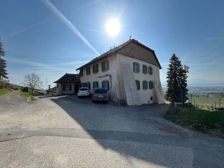 Au coeur du vignoble, bel appartement renové de 3 pièces - Photo 2