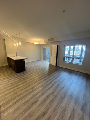 Courtyard view at SoHo Kelowna! - Photo 1