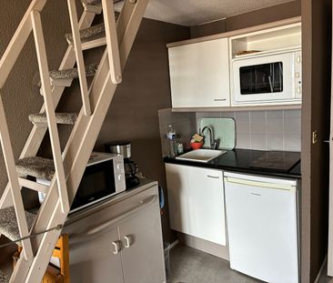 Location Appartement 1 pièce 18m² - Photo 5