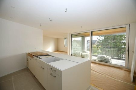 Erstbezug! Grosszügige 3.5-Zimmer Neubauwohnung in Weinfelden - Photo 3