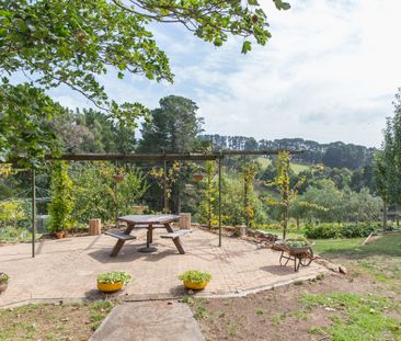 Red Hill, VIC, 3937 - Photo 3