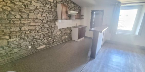 Location Appartement 1 pièce 34m² PONT DU CHATEAU 63430 - Photo 3