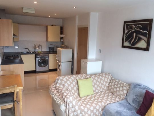 Room in a Shared Flat, Bothwell Street, G2 - Photo 1